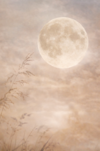 Volle maan in Maagd 3 maart 2026 boven zacht bewolkte lucht